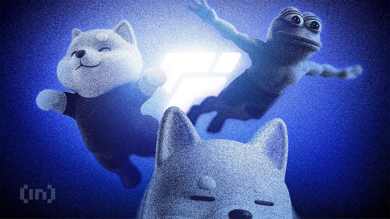 Solana Meme Coin Jimothy Jumps 331% on Elon Musk Raccoon Post, Apa yang Terjadi?
